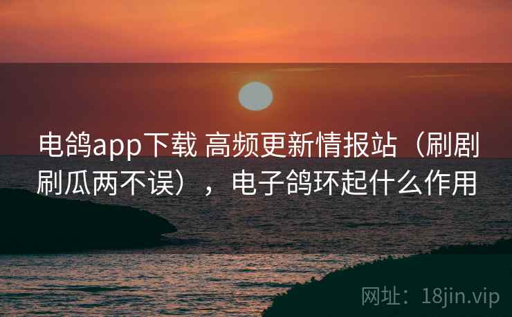 电鸽app下载 高频更新情报站(刷剧刷瓜两不误),电子鸽环起什么作用 电鸽app下载 高频更新情报站(刷剧刷瓜两不误),电子鸽环起什么作用