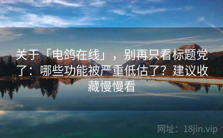 关于「电鸽在线」，别再只看标题党了：哪些功能被严重低估了？建议收藏慢慢看