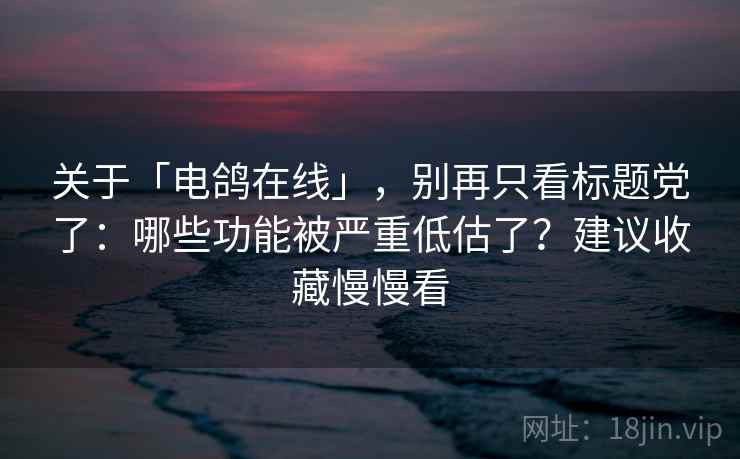 关于「电鸽在线」，别再只看标题党了：哪些功能被严重低估了？建议收藏慢慢看