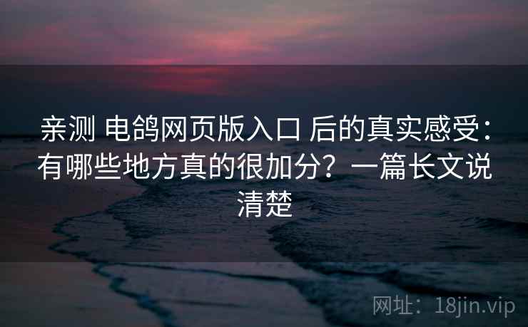 亲测 电鸽网页版入口 后的真实感受：有哪些地方真的很加分？一篇长文说清楚