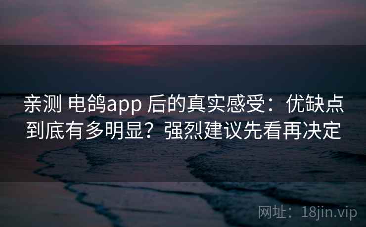 亲测 电鸽app 后的真实感受：优缺点到底有多明显？强烈建议先看再决定