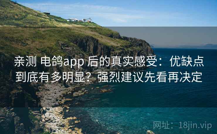 亲测 电鸽app 后的真实感受：优缺点到底有多明显？强烈建议先看再决定