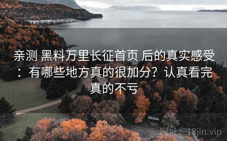 亲测 黑料万里长征首页 后的真实感受：有哪些地方真的很加分？认真看完真的不亏