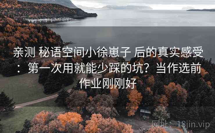 亲测 秘语空间小徐崽子 后的真实感受：第一次用就能少踩的坑？当作选前作业刚刚好
