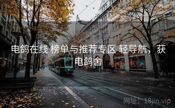 电鸽在线 榜单与推荐专区 轻导航，获电鸽舍