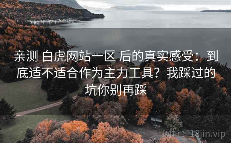 亲测 白虎网站一区 后的真实感受:到底适不适合作为主力工具?我踩过的坑你别再踩 亲测 白虎网站一区 后的真实感受:到底适不适合作为主力工具?我踩过的坑你别再踩