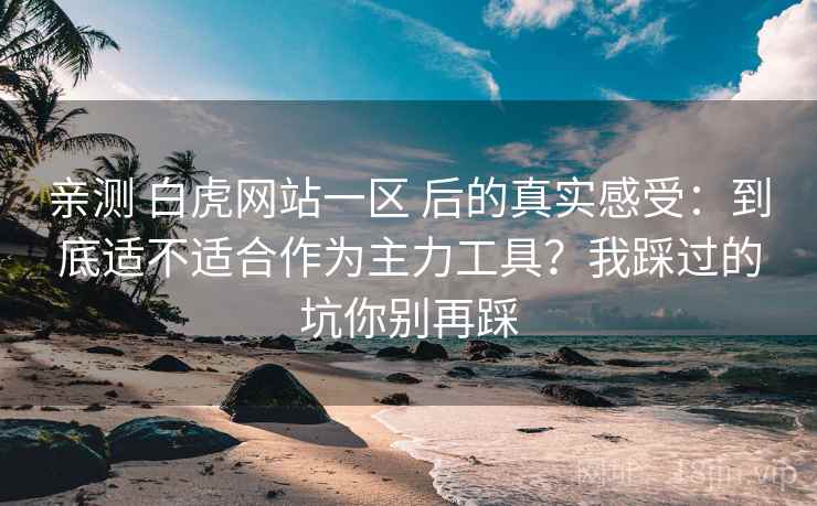 亲测 白虎网站一区 后的真实感受：到底适不适合作为主力工具？我踩过的坑你别再踩