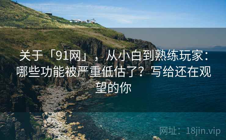 关于「91网」，从小白到熟练玩家：哪些功能被严重低估了？写给还在观望的你