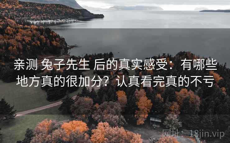亲测 兔子先生 后的真实感受：有哪些地方真的很加分？认真看完真的不亏