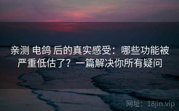 亲测 电鸽 后的真实感受：哪些功能被严重低估了？一篇解决你所有疑问