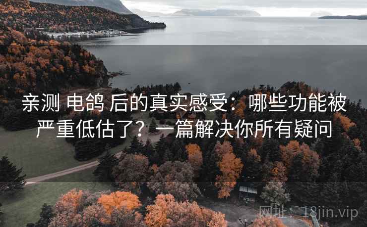 亲测 电鸽 后的真实感受:哪些功能被严重低估了?一篇解决你所有疑问 亲测 电鸽 后的真实感受:哪些功能被严重低估了?一篇解决你所有疑问